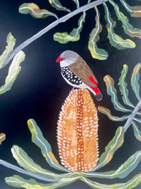 Firetail and Banksias #1