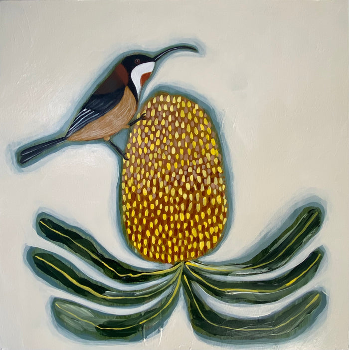 Honeyeater and Banksia #4