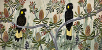 Autumn Black Cockatoos #7