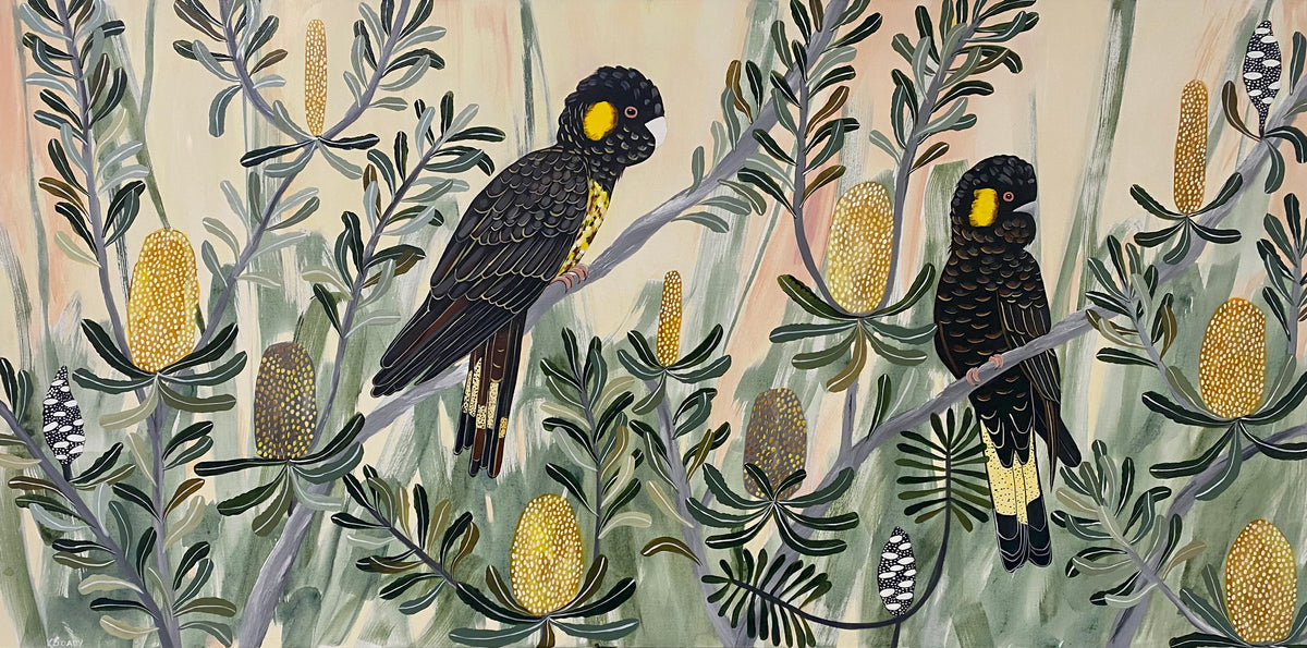 Autumn Black Cockatoos #8