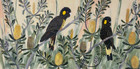 Autumn Black Cockatoos #8
