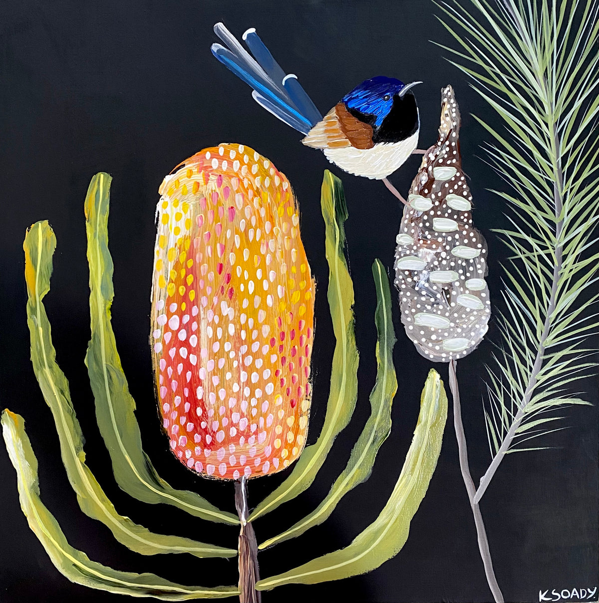 Banksia Glow and Wren #1