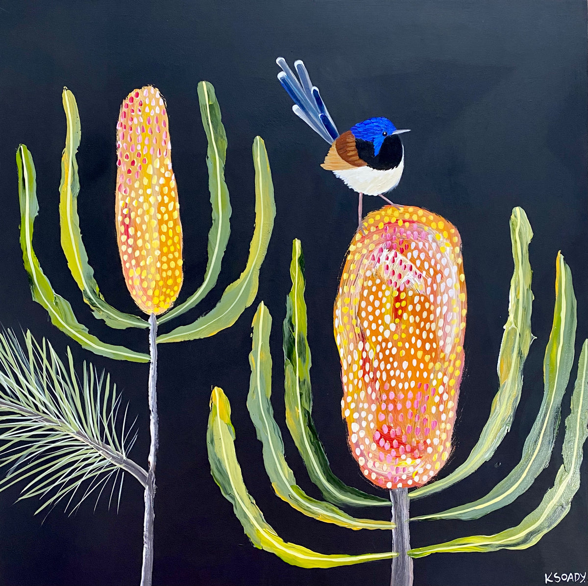 Banksia Glow and Wren #2