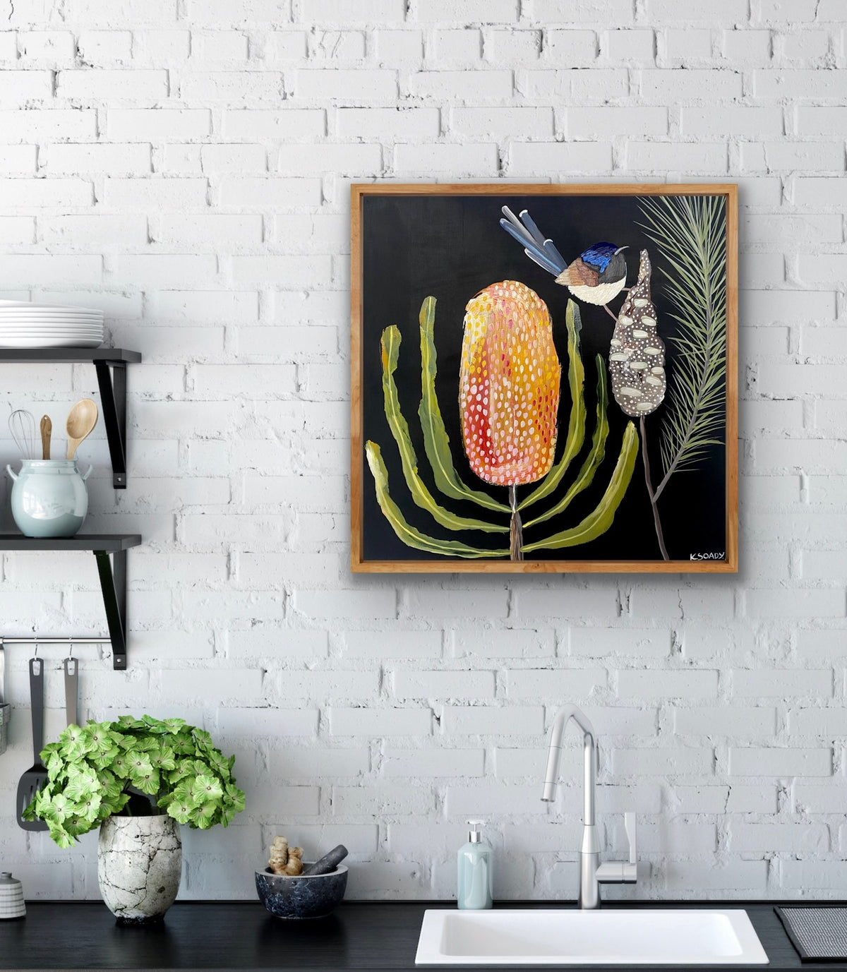 Banksia Glow and Wren #1