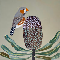 Zebra Finch & Banksia #3