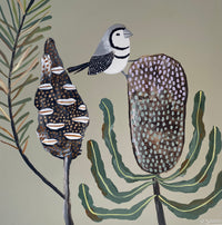 Finch & Banksia #1