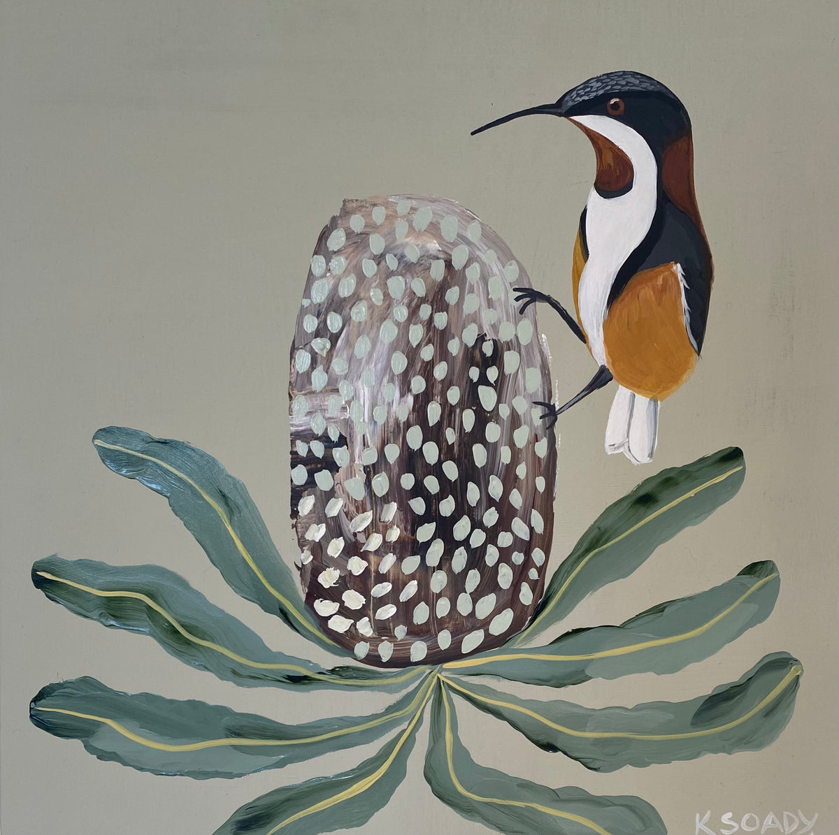 Honeyeater & Banksia #5