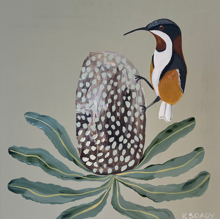 Honeyeater & Banksia #5
