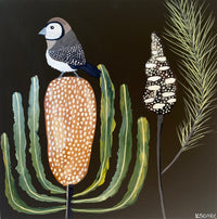 Finch & Banksia #2