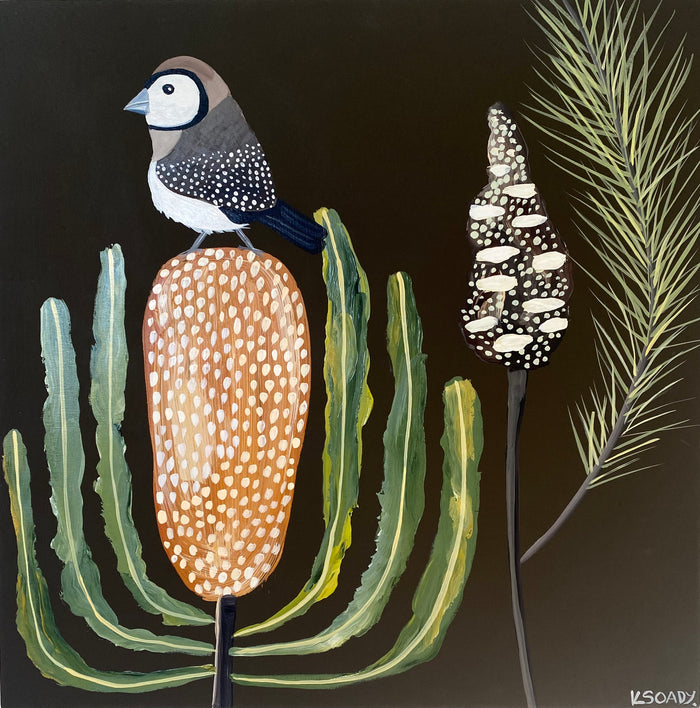 Finch & Banksia #2