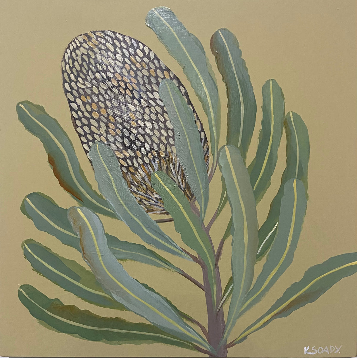 Banksia #13