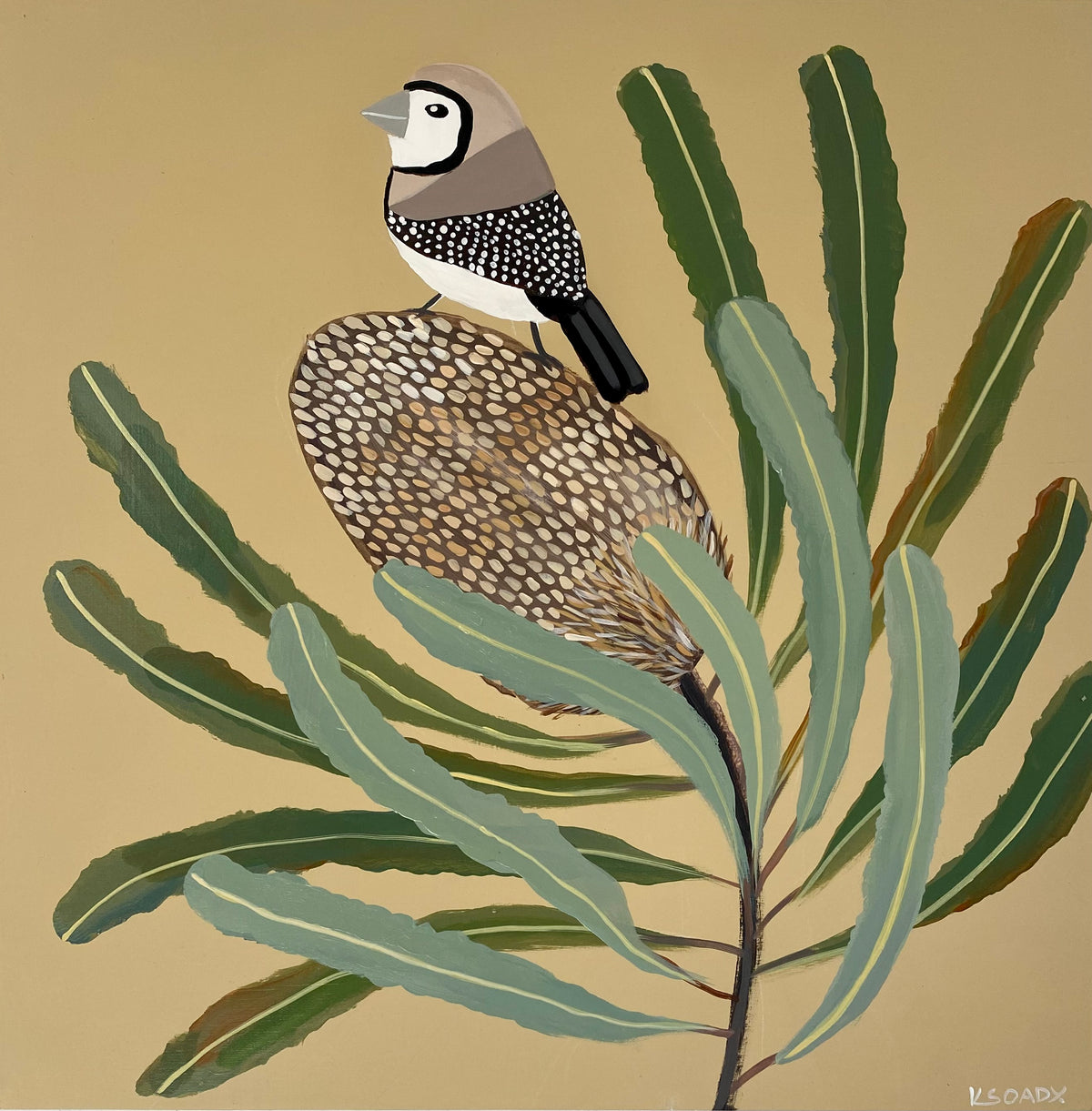 Finch & Banksia #3