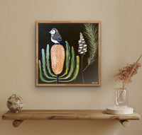 Finch & Banksia #2