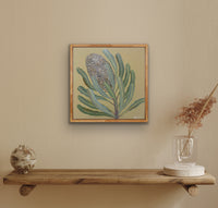 Banksia #13