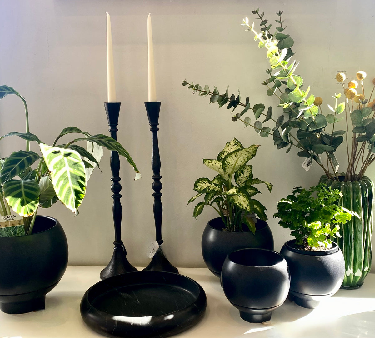 Otis Self Watering Planter Midnight