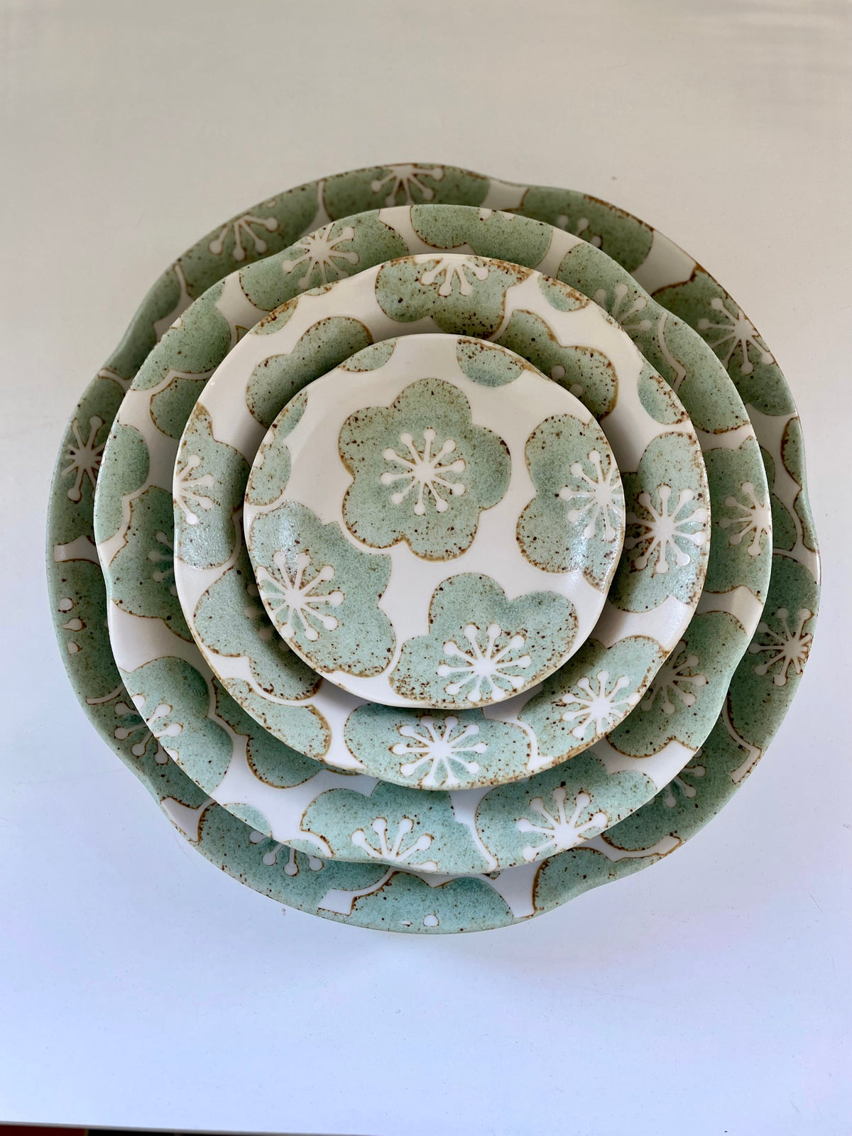 Tsukinose Blossom sage - Dinner Plate