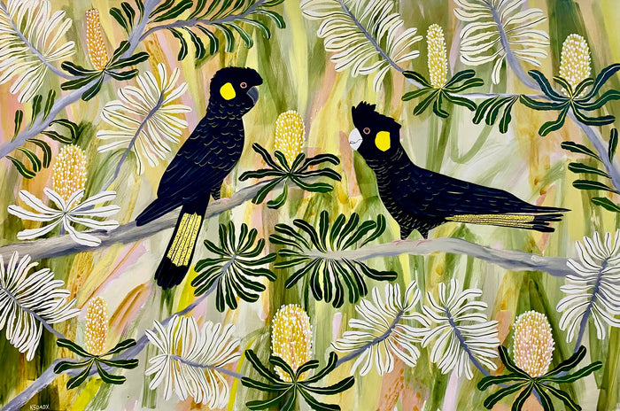 Black Cockatoos in Spring
