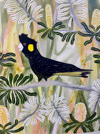 Black Cockatoos in Spring