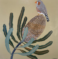 Zebra Finch & Banksia #5