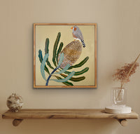 Zebra Finch & Banksia #5