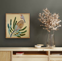 Zebra Finch & Banksia #5
