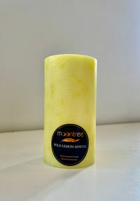 Wild Lemon Myrtle