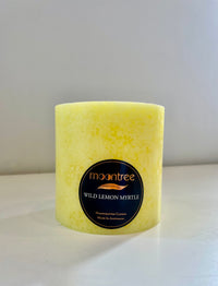 Wild Lemon Myrtle