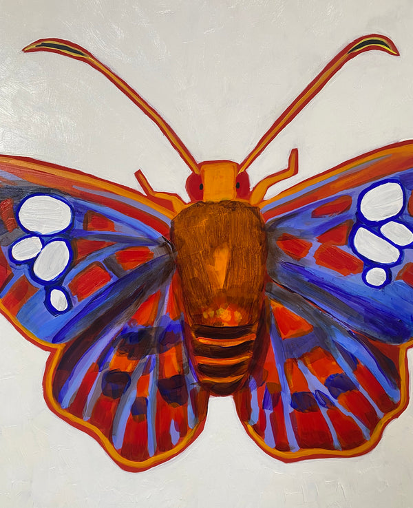 Native Butterfly
