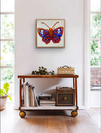 Native Butterfly