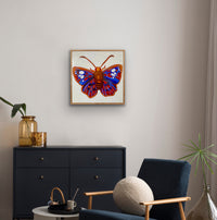 Native Butterfly