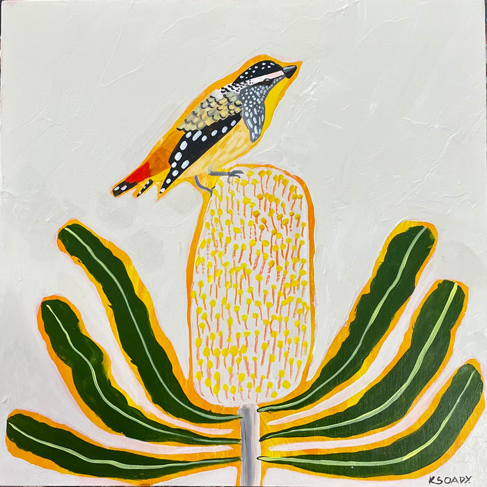 Pardalote and Spring Banksia #3