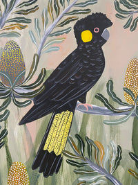 Black Cockatoo Couple #6
