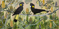 Black Cockatoo Couple #6