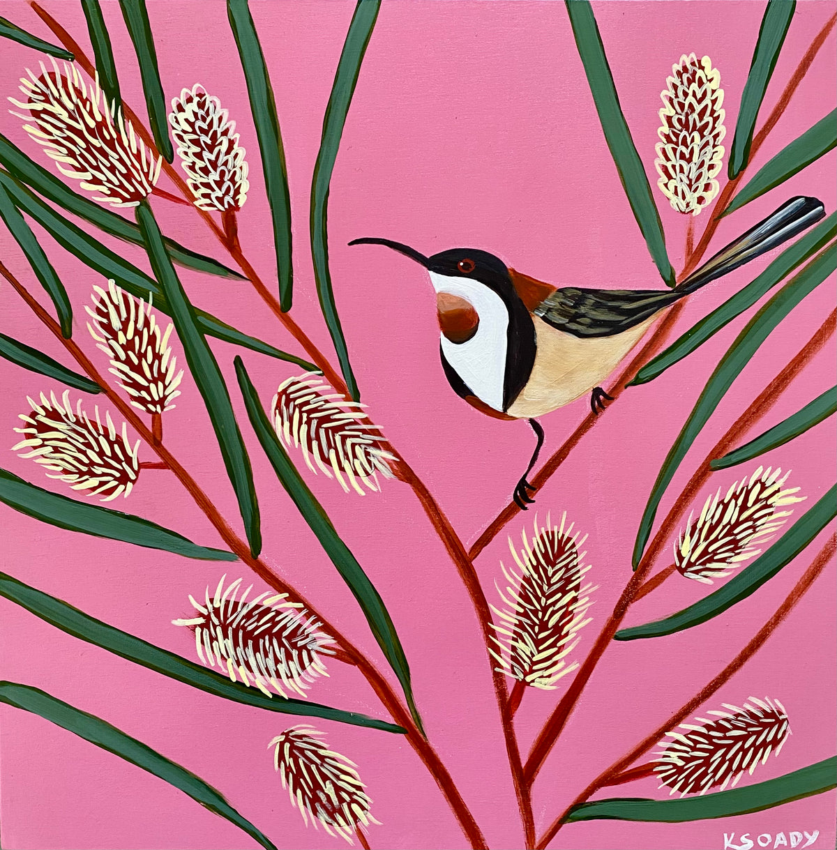 Hakea & Honeyeater