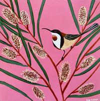 Hakea & Honeyeater