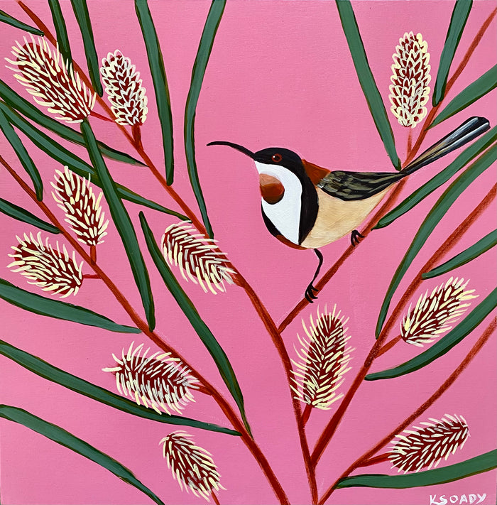 Hakea & Honeyeater