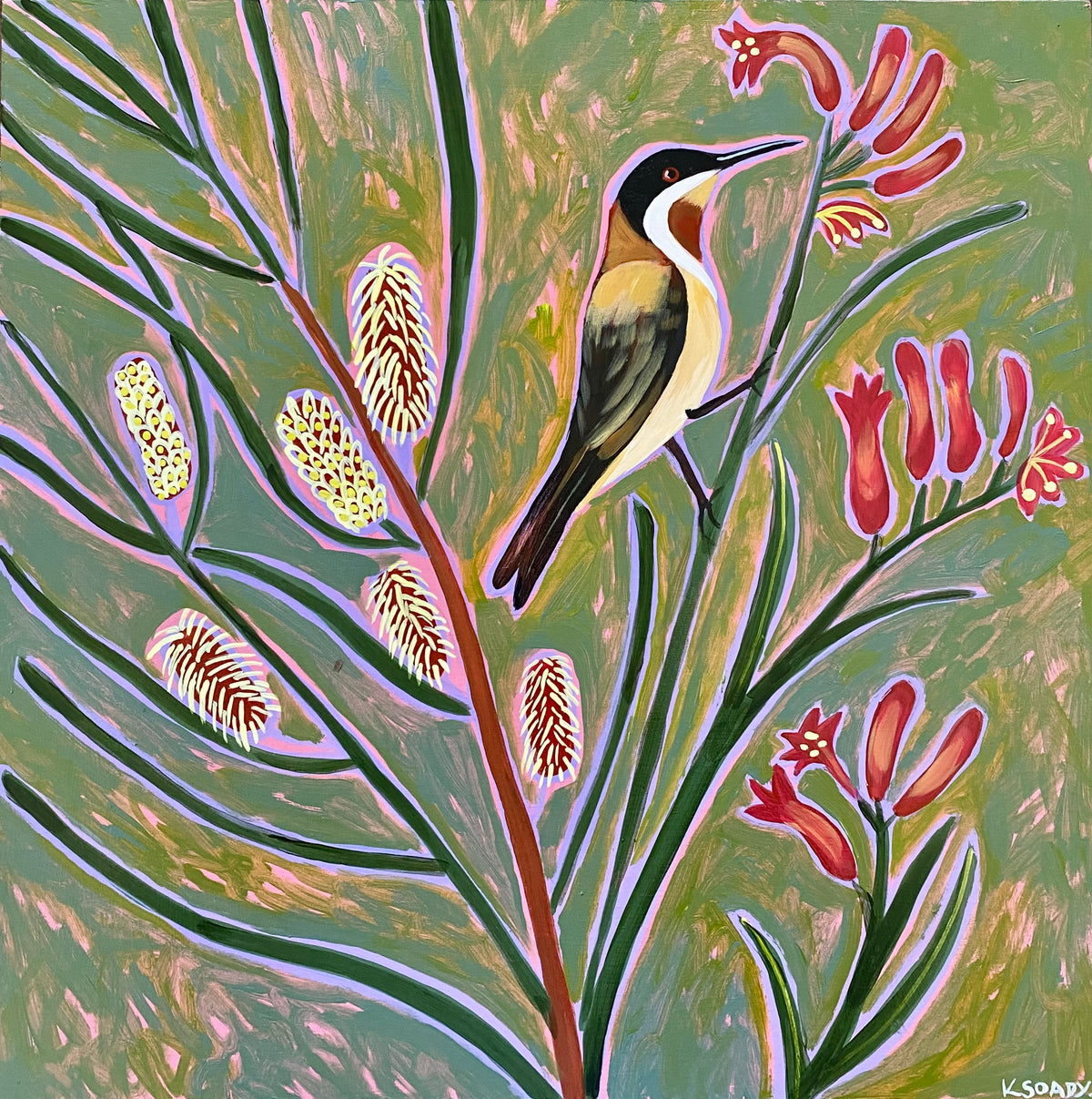 Hakea, Kangaroo Paw & Honeyeater