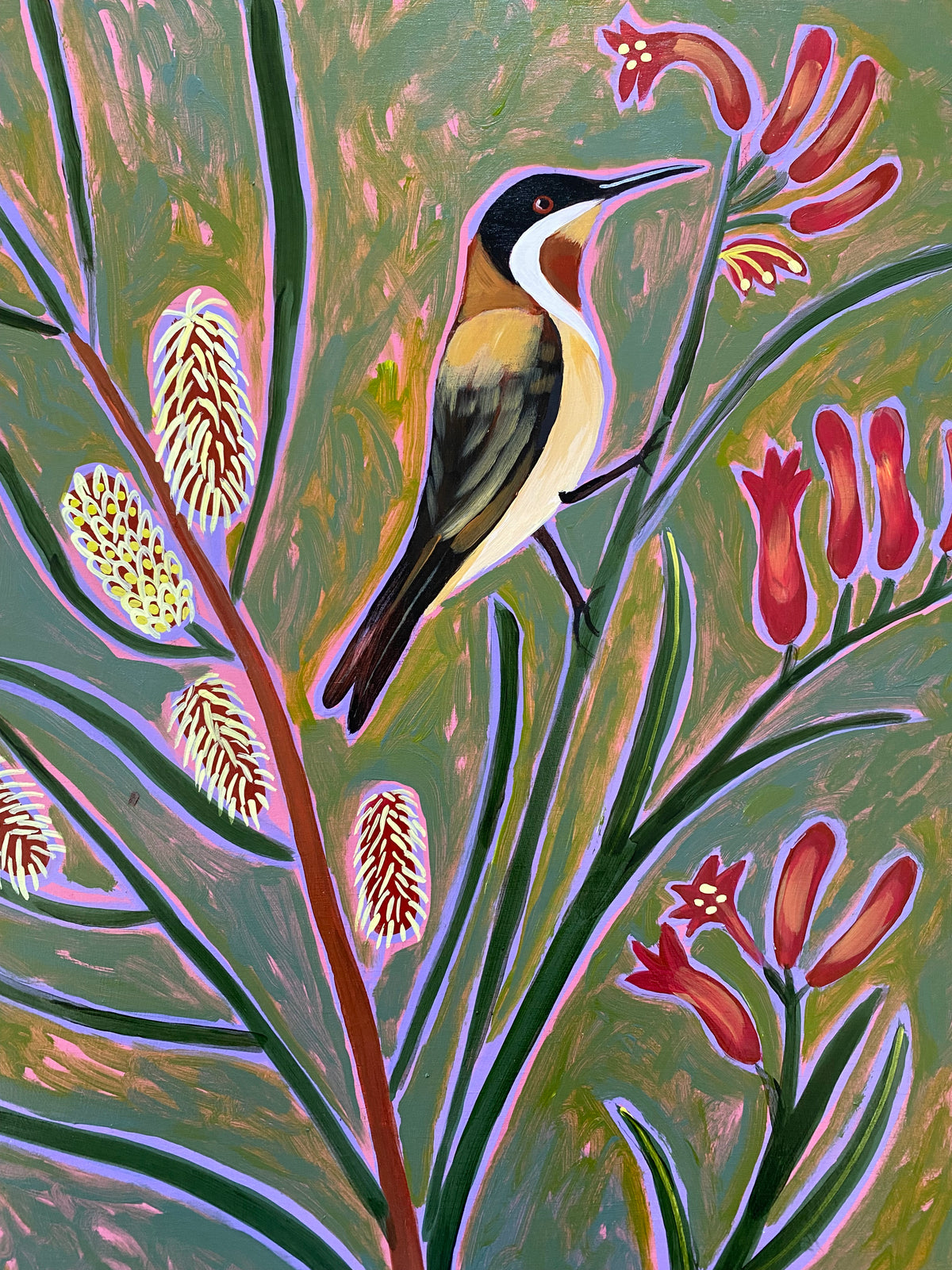 Hakea, Kangaroo Paw & Honeyeater