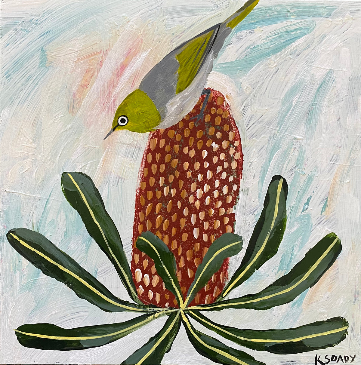 Silver Eye and Banksia