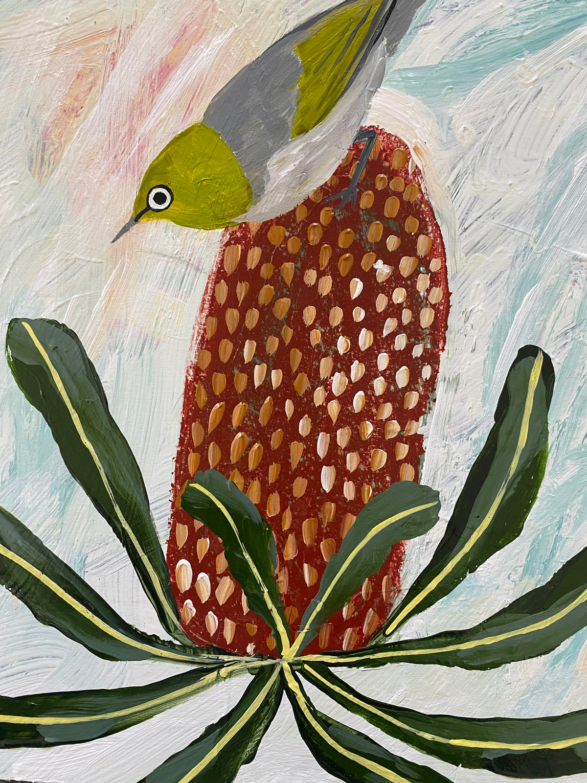 Silver Eye and Banksia