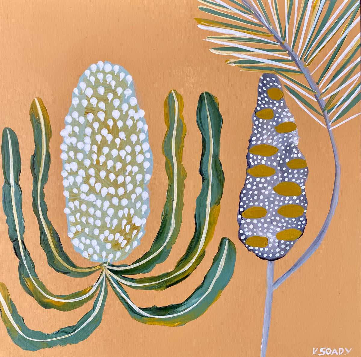Pod & Banksia #26