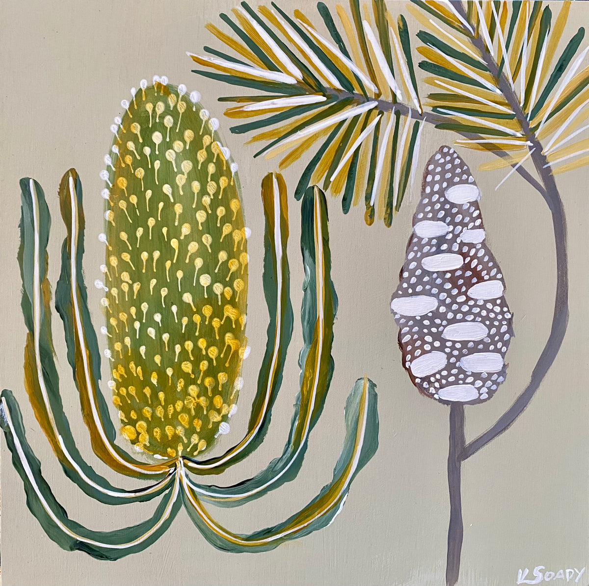 Pod & Banksia #24