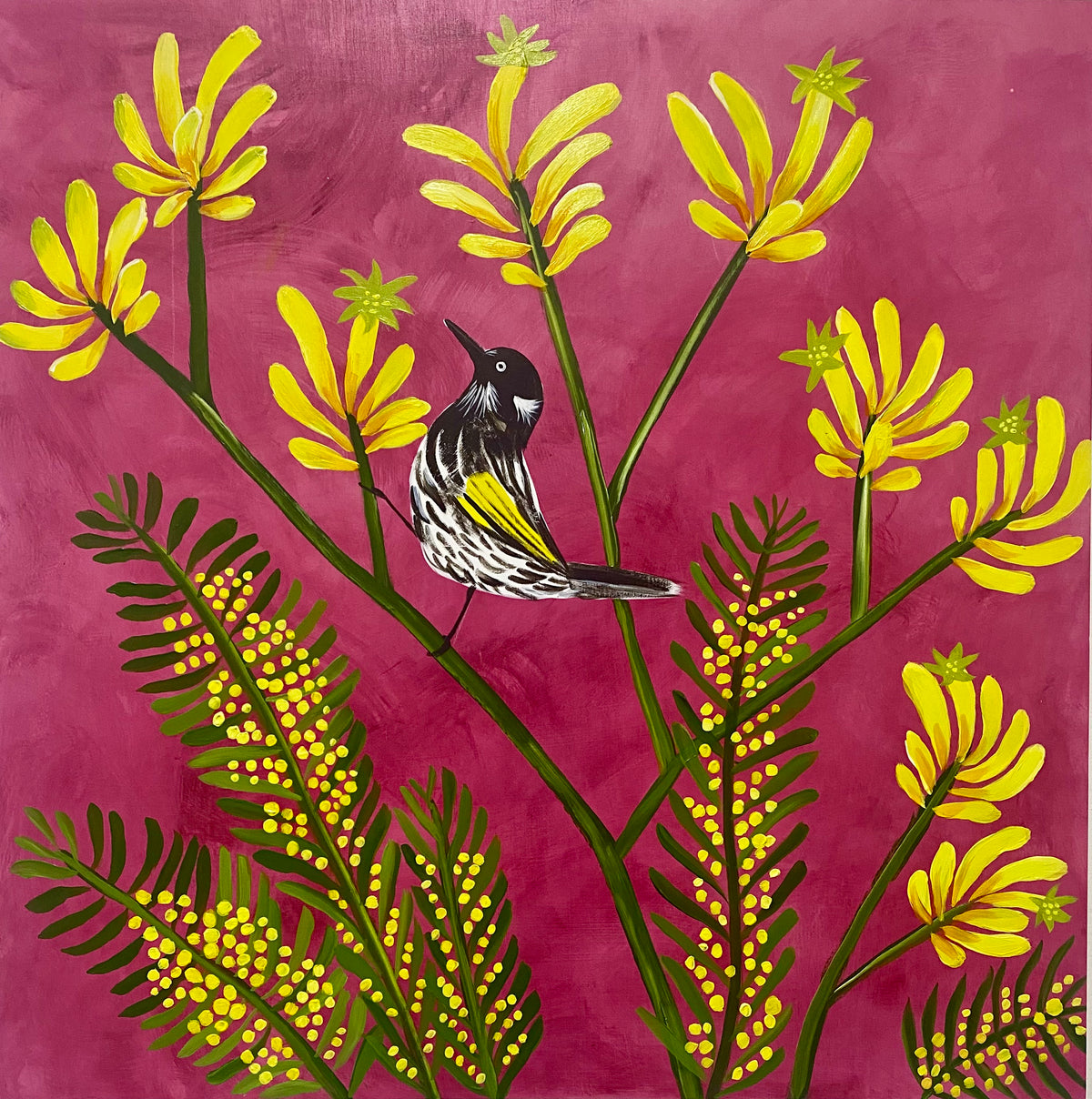 Kangaroo Paw and Honeyeater #1