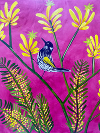 Kangaroo Paw and Honeyeater #1