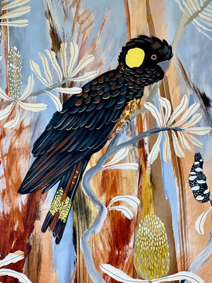 Sunset Black Cockatoos #2
