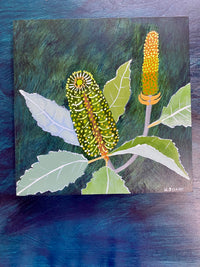 Verdant Banksia #5