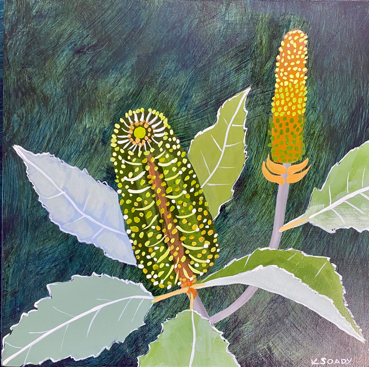 Verdant Banksia #5