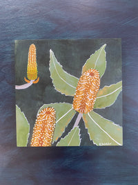 Verdant Banksia #6