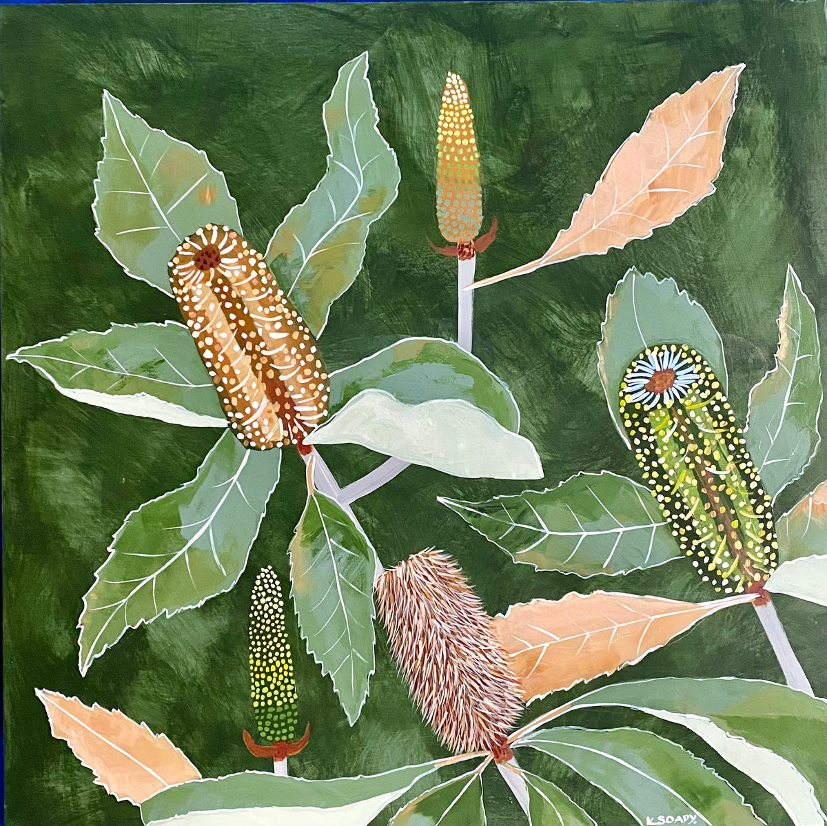 Verdant Banksias #1