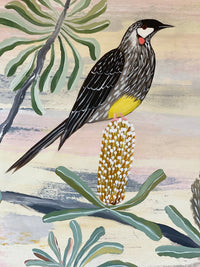 Wattlebirds in the Spring